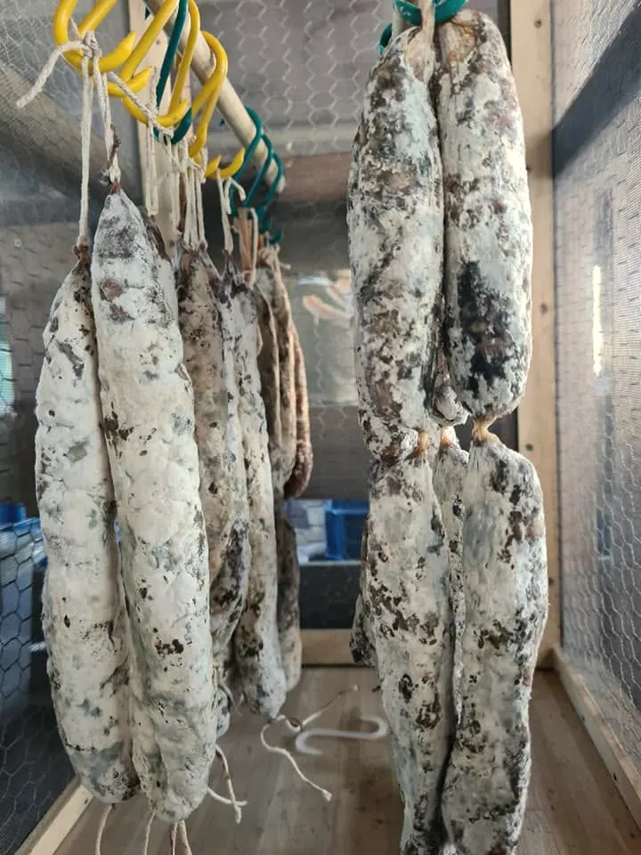 Salami hanging in the curing room